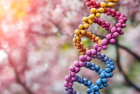 Hämophilie B: Erster Patient in Deutschland erhält Gentherapie