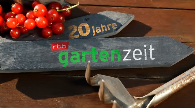 20 Jahre 