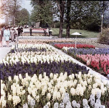 Ein Garten der Moderne mit einer großen Geschichte: Der egapark Erfurt feiert in diesem Jahr sein 65. Jubiläum