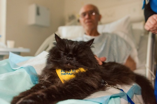 PURINA verleiht zum vierten Mal den BetterwithPets Prize und fördert Organisationen, die sich der Kraft der Mensch-Tier-Beziehung widmen