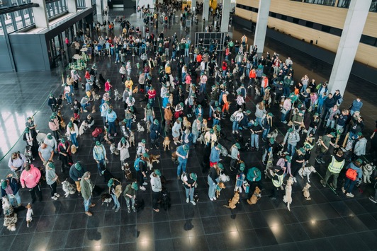 122 Hunde schreiben Geschichte: James Wellbeloved(TM) stellt neuen GUINNESS WORLD RECORDS® Titel auf