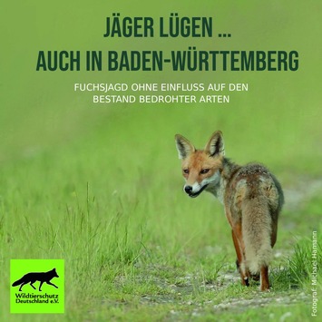 Füchse Baden-Württemberg: Jäger lügen wie gedruckt