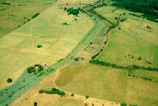 Längste Erfassung der Artenvielfalt Deutschlands am Grünen Band gestartet / Neues Forschungsprojekt von BUND und BfN liefert Daten für die Nominierung des Grünen Bandes als UNESCO Welterbe