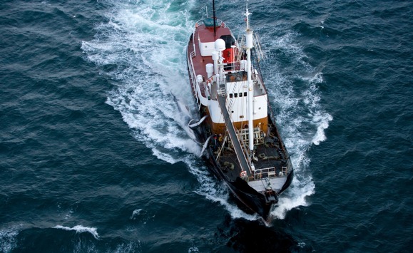 Update zur Pressemitteilung über die Beteiligung von Samskip an der Verschiffung von Walfleisch
