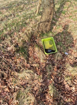 POL-NMS: 260331-1- Zeugen nach unerlaubter Müllentsorgung gesucht