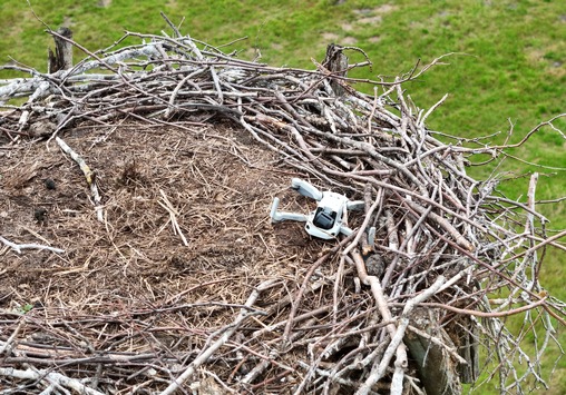 POL-LG: ++ Storchennest mit Drohne gestört - Tiere verlassen das Nest ++ Monitore und Empfänger aus landwirtschaftlichen Maschinen gestohlen ++ Alkoholisierte Radfahrerin von Zeugen festgehalten ++