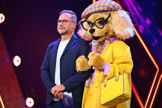 65 Goldene Schallplatten, 155 Mal Platin, 39 Goldmedaillen: Welche Superstars stecken ab Mittwoch unter den 16 Masken der neuen Staffel "The Masked Singer"?