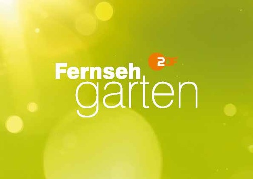Joachim Llambi und Lutz van der Horst vertreten Andrea Kiewel im "ZDF-Fernsehgarten"