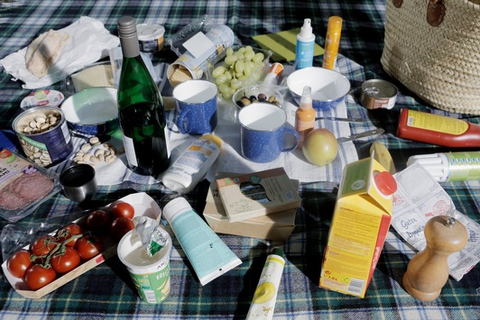 Mülltrennung statt Littering: Picknick-Abfälle richtig entsorgen