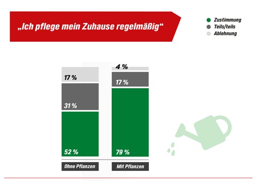 Warum Zimmerpflanzen die heimlichen Helden des Alltags sind / Von besserem Raumklima bis zu mehr Kreativität - aktuelle toom-Umfrage zeigt positive Effekte von Zimmerpflanzen