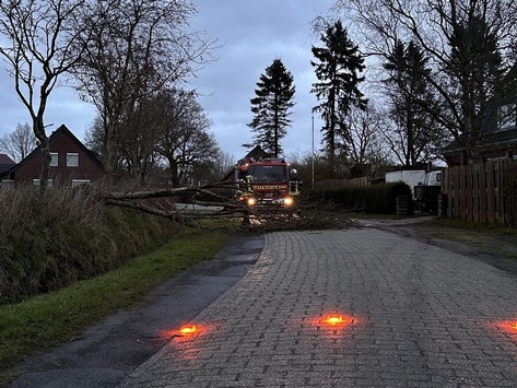 FW-AUR: Umgestürzter Baum blockiert Straße