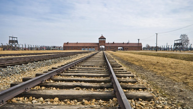 Programmangebote rund um den Holocaust-Gedenktag 2026