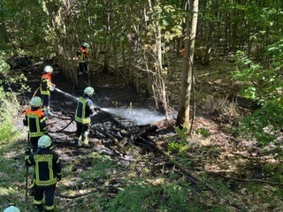 FW-ROW: Wald gerät in Brand in Kirchtimke