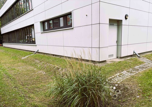 Gutachten zur Regenwasserbewirtschaftung an 24 Berliner Schulen abgeschlossen: Drees & Sommer schafft Grundlage für wassersensible Stadtplanung in Lichtenberg