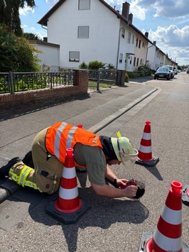 FW Weinheim: Wenn jede Minute zählt, Einsatzmarathon für Weinheims Feuerwehr