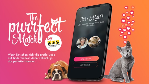 Purrfect Match: TERRITORY sucht auf Tinder ein neues Zuhause für ausgesetzte Haustiere