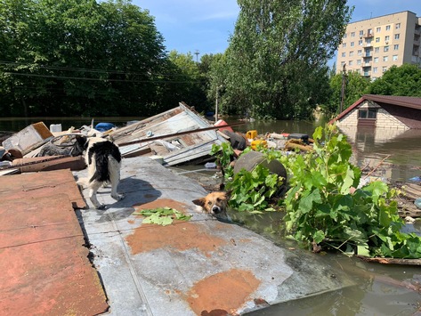 Fotos von Rettungsaktion: PETA und Animal Rescue Kharkiv bergen Menschen und Tiere in Cherson mit Booten aus überfluteten Orten