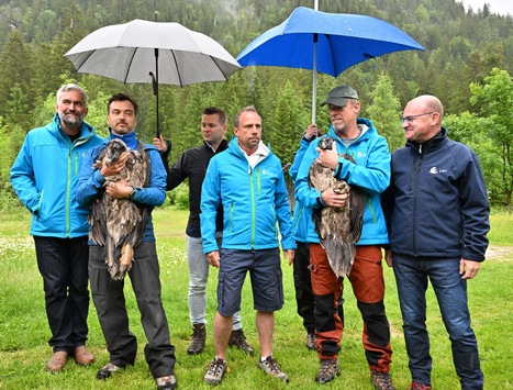 Mehr Geier für Bayern: Recka und Dagmar erfolgreich im Nationalpark Berchtesgaden ausgewildert / Zwei weitere Bartgeier von LBV und Nationalpark in die Wildnis entlassen