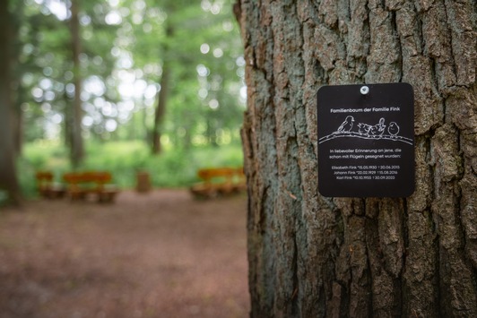 Erfolgsgeschichte FriedWald / Darum wollen immer mehr Menschen lieber in den Wald statt auf den Friedhof Erfolgsgeschichte FriedWald / Darum wollen immer mehr Menschen lieber in den Wald statt auf den Friedhof