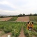 Pressefoto Unfall Bretzenheim