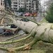 FW-BO: Sturmtief Eberhard - 1. Bilanz der Feuerwehr Bochum